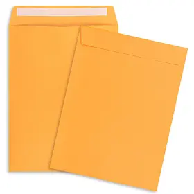 2we-9x12-50 Azaza Env--2we-9x12-50 9x12 Envelopes Self Seal 50 Pack Manilla Catalog Mailing