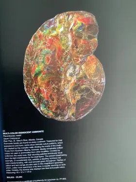 26081 Bonhams Fine Gemstones Lapidary Arts Minerals 2020 August 10 11 Catalog Auction #2