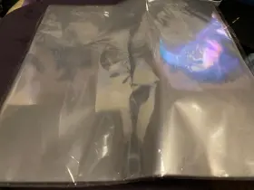 21cpt0001 Branded Clear Lp Record Sleeves 30 Pack 12.75 Inch 4 Mil Vinyl Album Protector Covers
