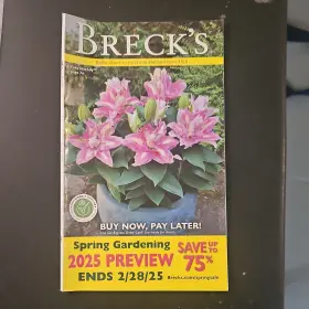 Brecks 5391473025 Spring 2025 Gardening Catalog Illustrated Plants English Booklet Holland