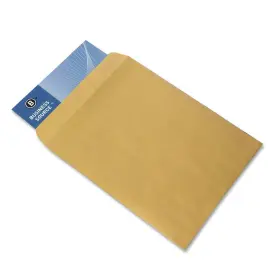 42100 Business Source Plain Catalog Envelope