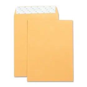 42120 Business Source Catalog Envelope