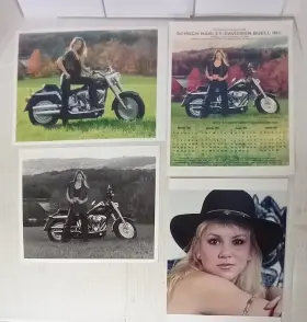 2736 Harley Davidson Vtg Lot Of 4 - 2001 Dlr Calendar Card Model Photo Stroudsburg Pa