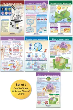 B00xac4t1q Newpath Learning Cells Bulletin Board Chart Set Grades 3-5 12x18 Inch