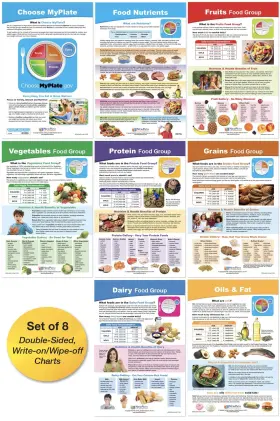 B07q4jy414 Newpath Learning Myplate Food Groups Bulletin Board Charts Set/8 - Laminated D