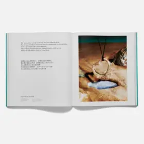 74861822 Tiffany & Co. Wonder Tokyo Limited Edition Assouline Art Book English And Japanese New #2