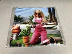 2023 Barbie Convention Doll For All Seasons Spring Gardener Pillow Cover New. Fixed Price $44.66.