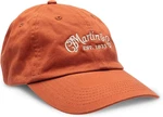 Martin Guitars Ballcaps. Fixed Price $29.99.