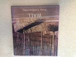 Wall: At Storm King - Hardcover Andy Goldsworthy Jerry L. Thompson Kenneth B.... Fixed Price $6.46.