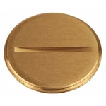 Raco 6226 Box Cover, Gang, Brass, Flush Type. Fixed Price $23.45.