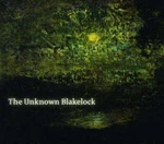 Beyond Madness: The Art Of Ralph Blakelock, 1847-1919 By Norman Geske: New. Fixed Price $61.44.