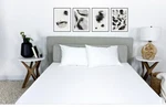 Protectease Terry Fitted Full 54 X 75 Waterproof Mattress Cover. Fixed Price $13.75.