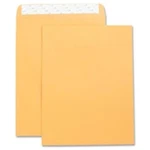 Business Source BSN42120 Catalog Envelope 9X12 28LB Kraft 250/BOX. Fixed Price $80.97.