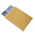 Business Source BSN42100 Catalog Envelope 9X12 Kraft 250/BOX. Fixed Price $67.55.