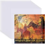 30 Pack 12.75" Vinyl Record Sleeves 4 Mil Clear Plastic Lp Album Protector. Fixed Price $10.12.