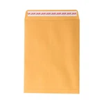50 Envelopes Jam Paper 9 X 12 Open End Peel And Seal Closure Kraft. Fixed Price $13.76.