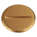 Raco 6226 Flush Replacement PLUG,1-1/2" L,brass 52AW84. Fixed Price $28.51.