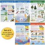 Newpath Learning 94-3502 The Six Kingdoms Bulletin Board Charts, 12 18 Inch,. Fixed Price $34.57.