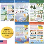 Newpath Learning 94-3502 The Six Kingdoms Bulletin Board Charts, 12 18 Inch,. Fixed Price $37.79.
