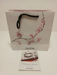 Pandora Jewelry Catalog Book 2012 Celebrate The Moment Charms & Bracelets + Bag. Fixed Price $44.99.