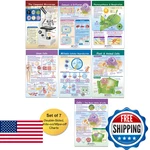 Newpath Learning Cells Bulletin Board Chart Set, Gr 3-5, 12X18, Full Color. Fixed Price $50.64.